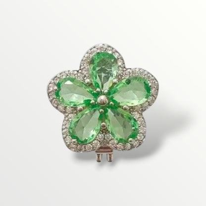 The Charm Collection